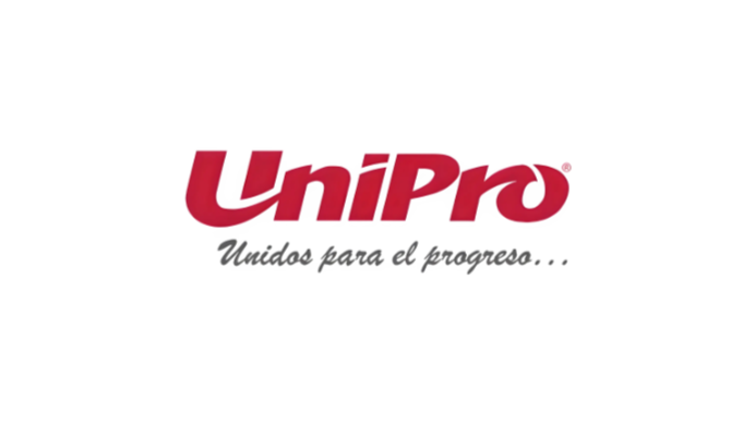 Gestor de pagos preview